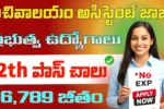 CSIR-IIP Junior Secretariat Assistant