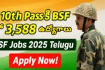 BSF Recruitment 2025