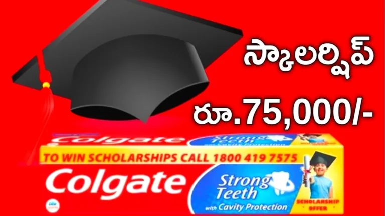 Colgate Scholarship 2025