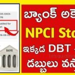 NPCI Status Check Online 2025