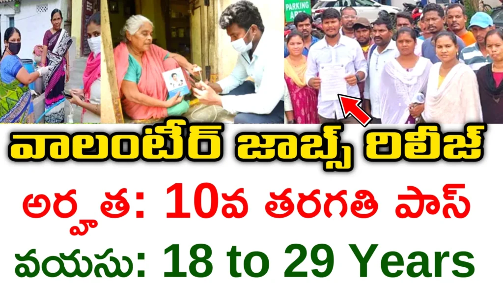 Volunteer Recruitment 2025