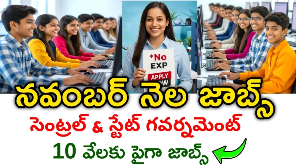 November 2025 Government Job Notifications