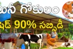 AP Gokulam Sheds Subsidy Scheme 2025