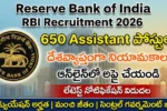 RBI Assistant Recruitment 2026