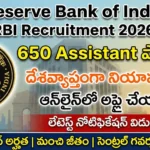 RBI Assistant Recruitment 2026